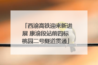 西渝高铁迎来新进展 康渝段站前四标桃园二号隧道贯通