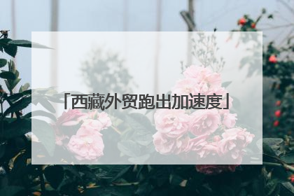 西藏外贸跑出加速度