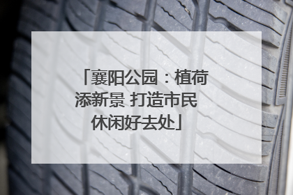 襄阳公园：植荷添新景 打造市民休闲好去处