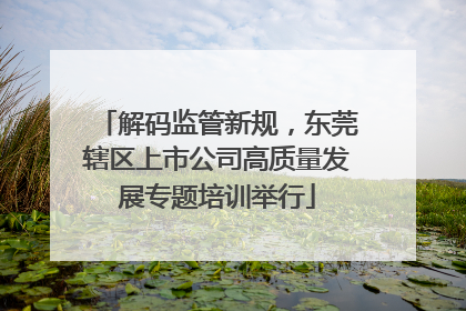 解码监管新规，东莞辖区上市公司高质量发展专题培训举行