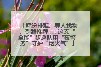 解纷排难、寻人找物、引路推荐……这支“全能”步巡队用“夜警务”守护“烟火气”