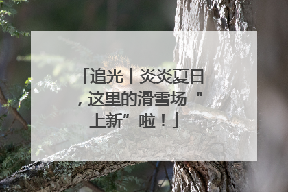 追光丨炎炎夏日，这里的滑雪场“上新”啦！