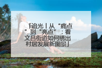 追光丨从“痛点”到“亮点”：看文昌街道如何绣出村居发展新图景