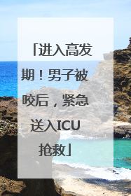 进入高发期！男子被咬后，紧急送入ICU抢救