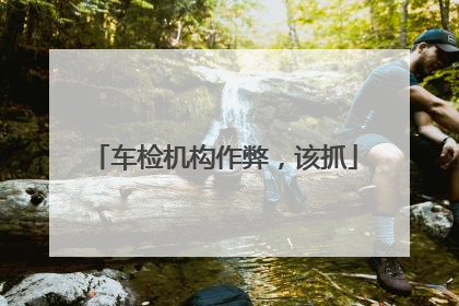车检机构作弊，该抓