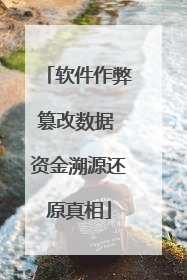 软件作弊篡改数据 资金溯源还原真相