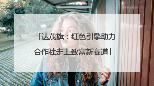 达茂旗：红色引擎助力合作社走上致富新赛道