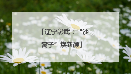辽宁彰武：“沙窝子”焕新颜