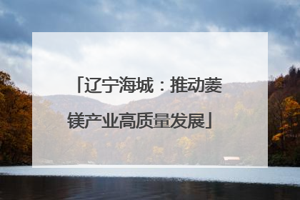 辽宁海城：推动菱镁产业高质量发展