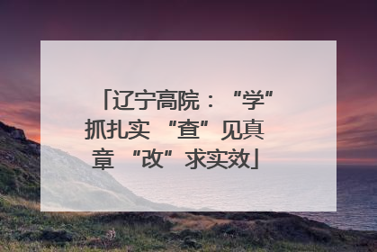 辽宁高院：“学”抓扎实 “查”见真章 “改”求实效