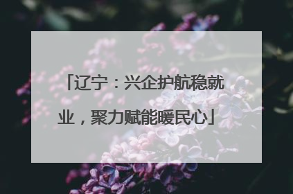 辽宁：兴企护航稳就业，聚力赋能暖民心