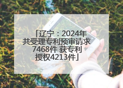 辽宁：2024年共受理专利预审请求7468件 获专利授权4213件