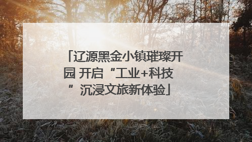 辽源黑金小镇璀璨开园 开启“工业+科技”沉浸文旅新体验
