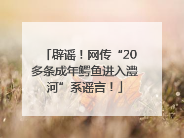 辟谣！网传“20多条成年鳄鱼进入澧河”系谣言！