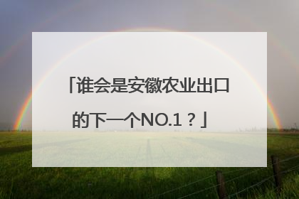 谁会是安徽农业出口的下一个NO.1？