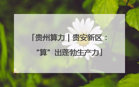 贵州算力｜贵安新区：“算”出蓬勃生产力