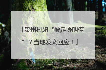 贵州村超“被足协叫停”？当地发文回应！