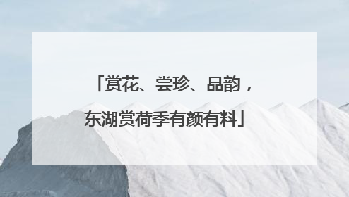 赏花、尝珍、品韵，东湖赏荷季有颜有料