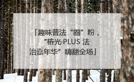 趣味普法“圈”粉，“椿光·PLUS 法治嘉年华”嗨翻全场