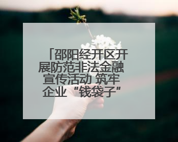 邵阳经开区开展防范非法金融宣传活动 筑牢企业“钱袋子”安全防线