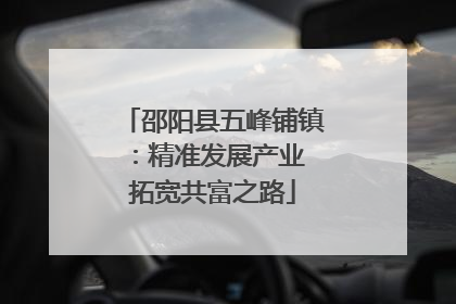 邵阳县五峰铺镇：精准发展产业 拓宽共富之路