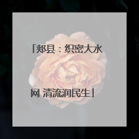 郏县：织密大水网 清流润民生