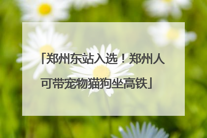 郑州东站入选！郑州人可带宠物猫狗坐高铁