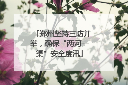 郑州坚持三防并举，确保“两河一渠”安全度汛
