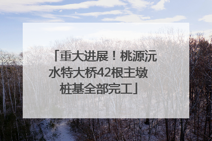 重大进展！桃源沅水特大桥42根主墩桩基全部完工