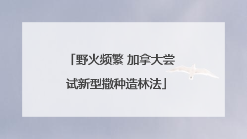 野火频繁 加拿大尝试新型撒种造林法