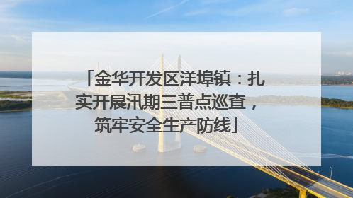 金华开发区洋埠镇：扎实开展汛期三普点巡查，筑牢安全生产防线
