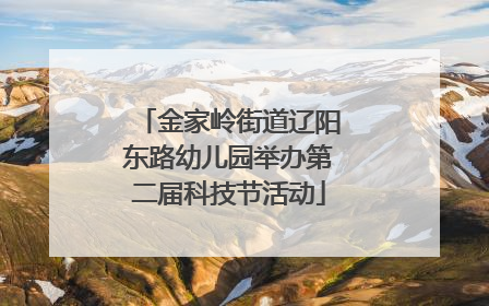 金家岭街道辽阳东路幼儿园举办第二届科技节活动