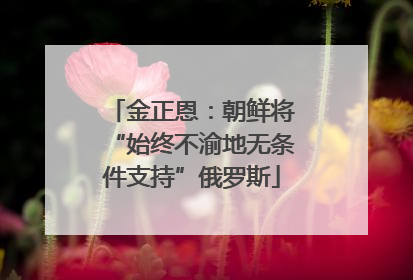 金正恩：朝鲜将“始终不渝地无条件支持”俄罗斯