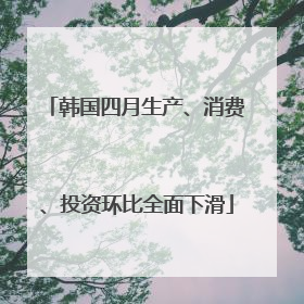 韩国四月生产、消费、投资环比全面下滑