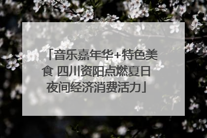 音乐嘉年华+特色美食 四川资阳点燃夏日夜间经济消费活力