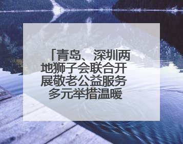 青岛、深圳两地狮子会联合开展敬老公益服务 多元举措温暖潮海街道南杨头村老人