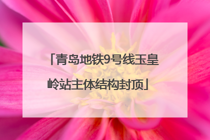 青岛地铁9号线玉皇岭站主体结构封顶