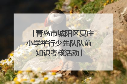 青岛市城阳区夏庄小学举行少先队队前知识考核活动