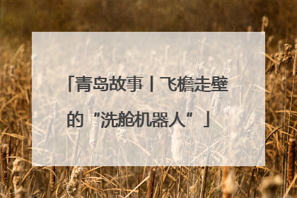 青岛故事丨飞檐走壁的“洗舱机器人”