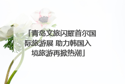 青岛文旅闪耀首尔国际旅游展 助力韩国入境旅游再掀热潮
