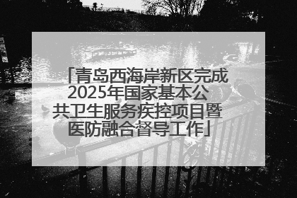 青岛西海岸新区完成2025年国家基本公共卫生服务疾控项目暨医防融合督导工作
