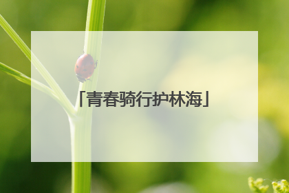 青春骑行护林海