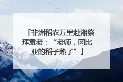 非洲稻农万里赴湘祭拜袁老：“老师，冈比亚的稻子熟了”