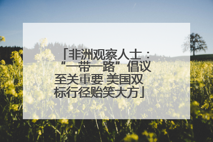 非洲观察人士：“一带一路”倡议至关重要 美国双标行径贻笑大方