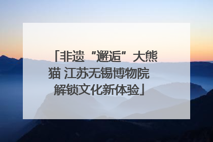 非遗“邂逅”大熊猫 江苏无锡博物院解锁文化新体验