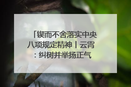 锲而不舍落实中央八项规定精神丨云霄：纠树并举扬正气 作风建设谱新章