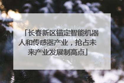 长春新区锚定智能机器人和传感器产业，抢占未来产业发展制高点