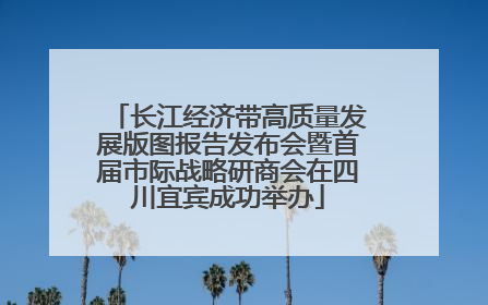 长江经济带高质量发展版图报告发布会暨首届市际战略研商会在四川宜宾成功举办