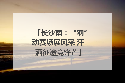 长沙南：“羽”动赛场展风采 汗洒征途竞锋芒