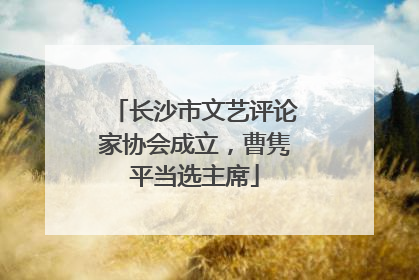 长沙市文艺评论家协会成立，曹隽平当选主席